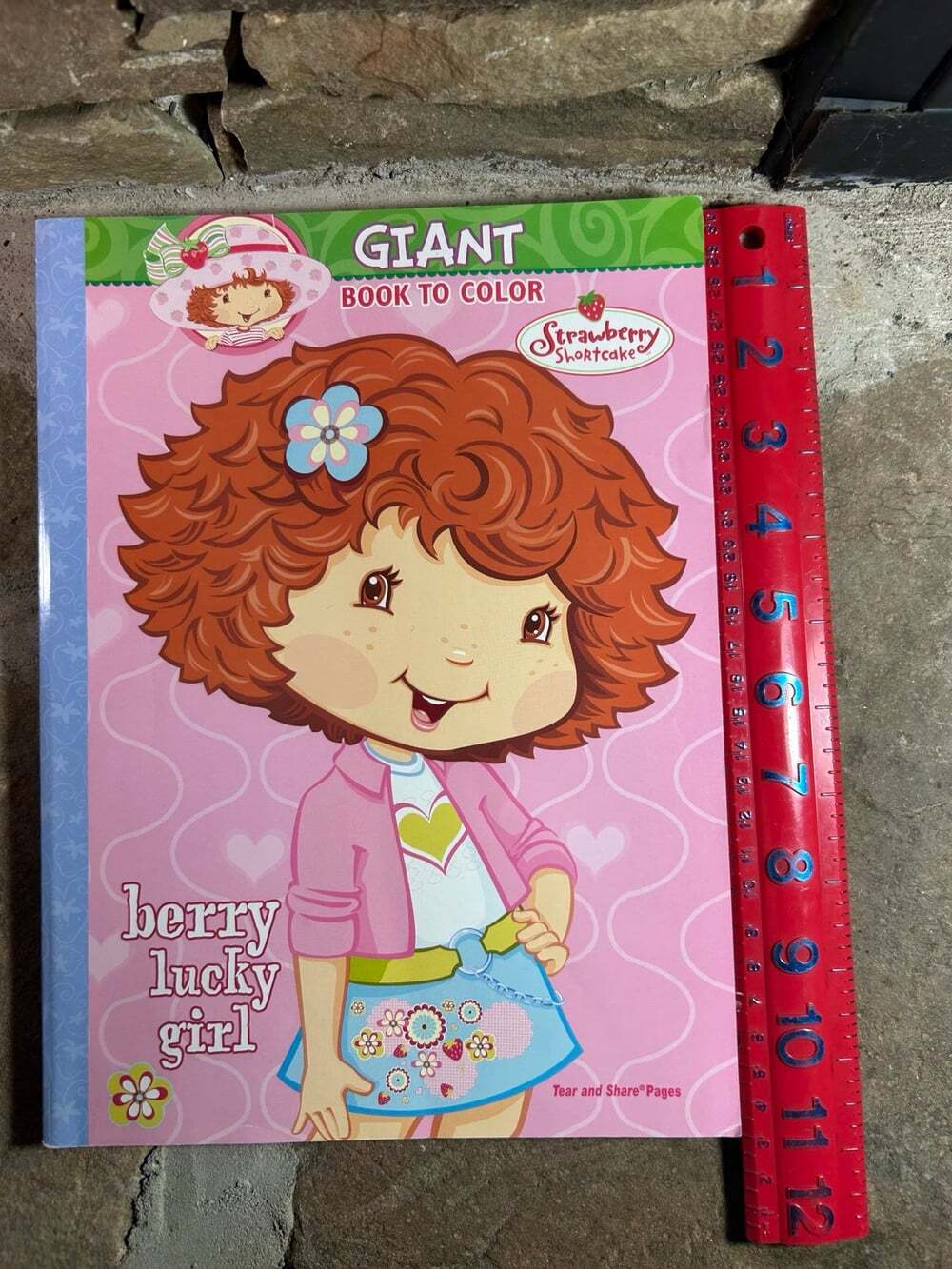 Strawberry Shortcake 2006 Coloring Book READ